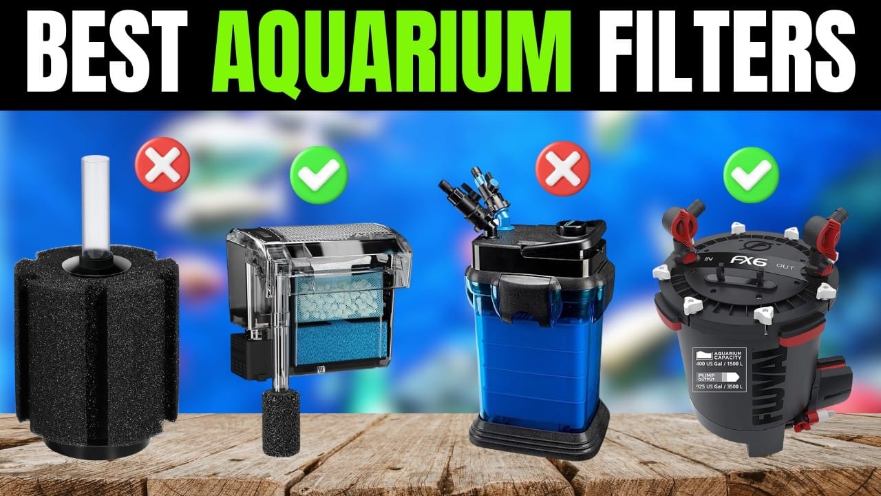 Best Silent Aquarium Filters for Office Desk Tanks (2026 Review)